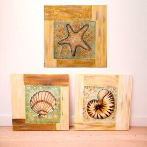 Beach Seashell Theme Wall Hangings - set of three